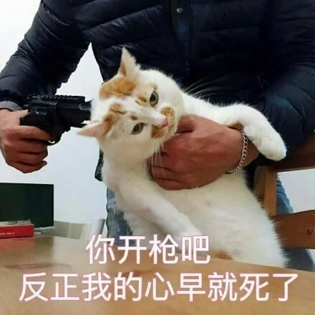 现在的你会考虑在E宝买游戏吗丨胡哔聊天室